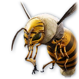 Aberrant Bee — AION 2 pet portrait