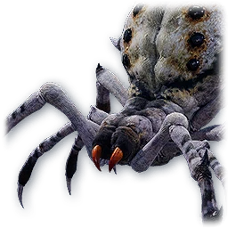 Ashen Spider — AION 2 pet portrait