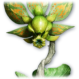Forest Dionae — AION 2 pet portrait